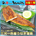 【年末年始配送OK!】日本最大級の産地!三河一色産の大型うなぎ蒲焼タレ・山椒付!便利な脱気パック約185gウナギ/鰻/丑の日/土用/お中元/父の日/お歳暮