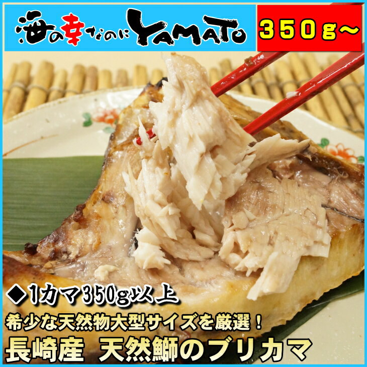 【天然もの！】長崎県産天然鰤のブリカマ1カマ350g以上の特大サイズ！鰤／ぶり／ブリ／かま…...:sfd-ymt:10001537