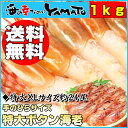 【送料無料】特大手のひらサイズ厳選刺身用ボタン海老1kg【約24尾入り】LLよりも大きなXLサイズをお届けします！えび/エビ/ぼたん/海老/父の日/お中元