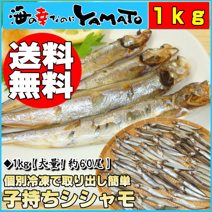 ◎今だけ送料無料◎【たっぷり約60尾で1,000円】子持ちシシャモ若干アウトサイズの為激安販売！個別冷凍で食べたい分だけ取り出し可能●大盛り1kg入り/ししゃも/訳あり/わけあり/父の日60尾以上保証品！/お中元