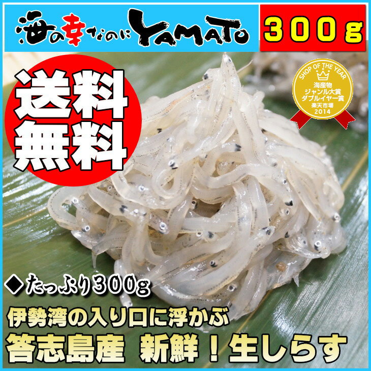 【送料無料】「三重県答志島産 新鮮！生しらす」ご自宅で茹でたて釜揚げしらすができちゃう！もちろん生のまま「生しらす丼」も！たっぷり300g！【送料無料】/しらす/シラス/生しらす/生シラス/釜揚げしらす/海鮮丼