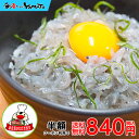 【クーポンで半額】衝撃の840...