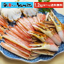 カットズワイ蟹1kg ズワイガニ ハーフポーション 蟹 かに...