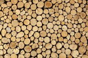 urbans/Wall made of stacked wood