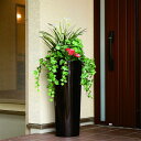 【直送】【送料無料】光の楽園 寄せ植えユッカ1.3 727a600