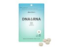 ★ゆうメールで送料無料!★ファイテン【DNA&RNA 54g(300mg×180粒)】【phiten/サプリメント/美容/健康】※後払い決済不可