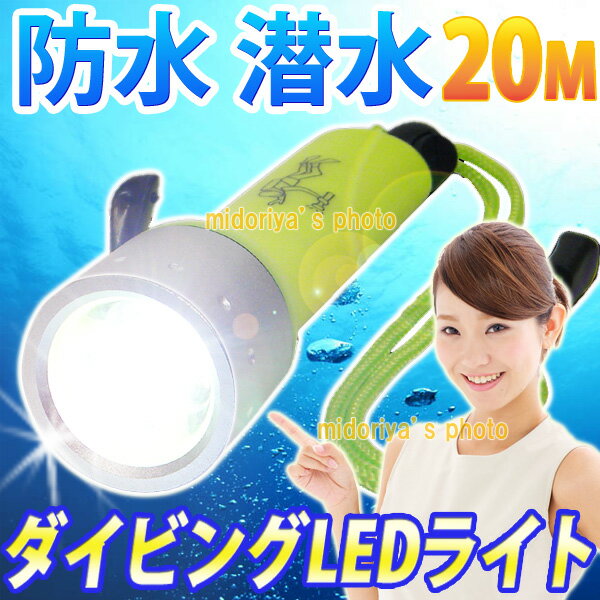 完全防水 潜水 LED ダイビング ライト 水中ライト led 釣り ダイビング用品 水深…...:sh-midoriya:12076853
