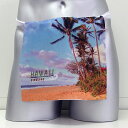 おもしろ パロディ ふんどし aloha アロハ hawaii ハワイ【フンダーウエア】Funder wear 面白い おもしろプレゼント 雑貨 海外旅行 お土産 02P02Sep17