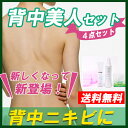 背中ニキビケア4点セット シアクルクリアスリーミスト 200ml&ゲルクリーム2 100g&背中ニキビ用石鹸 シアクルソープ&背中泡美人 送料無料 背中ニキビ美白 アクネ菌・背中にきび対策 大人ニキビ 【医薬部外品】【日本製】