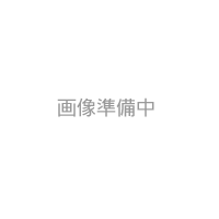 GITZO D026.JP 石突セット/3個 【国内正規品】 
