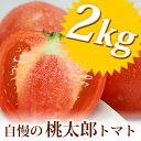 桃太郎完熟トマト(約2kg)箱入りセット兵庫県 姫
