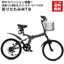 平成最後の売り尽くし★期間限定特価★本州・四国は 送料無料 ...