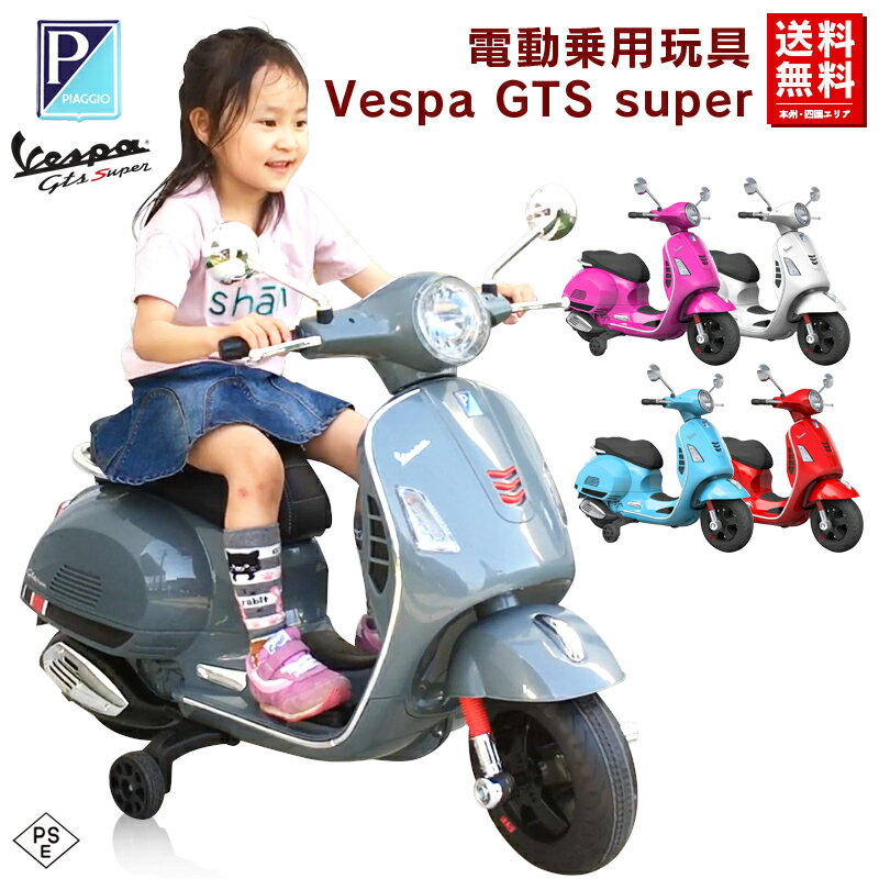 dpoCN Vespa GTS Super xXp CZX dp qdJ[ dpߋ ΂  蕨 {B  [801]