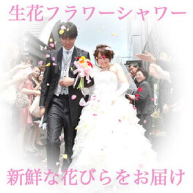 生花フラワーシャワーピンク系