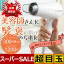 ドライヤー 送料無料 マイナスイオン ドライヤー マイナスイ...