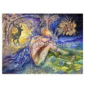 ¥¯¥í¥¹¥¹¥Æ¥Ã¥Á»É½«¿Þ°Æ Heaven And Earth Designs Í¢Æþ HAED ¾åµé¼Ô Josephine Wall ¥«¥á¥ì¥ª¥ó Cameleon Á´Ì̻ɤ·