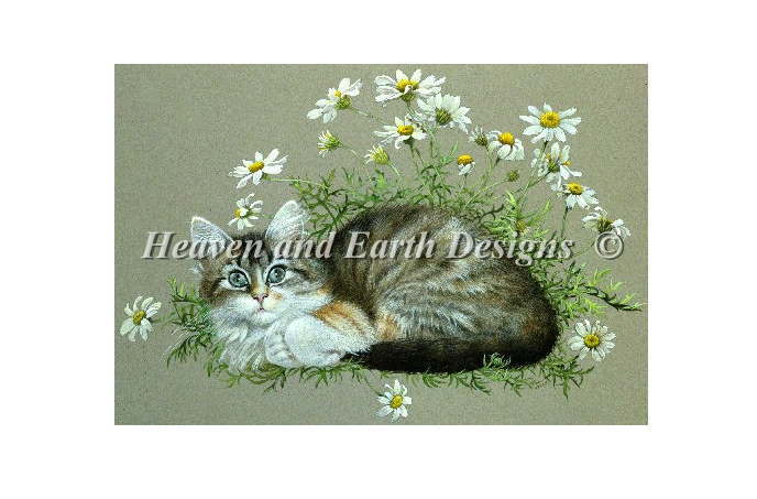 図案 クロスステッチ刺繍 Heaven And Earth Designs HAED 輸入 上級者 Lesley Ivory カモミールの花の中の猫 Agneatha Amongst Chamomile Flowers 全面刺し