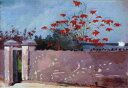 Winslow Homer（ウィンスロー・ホーマー） 画家 美術 芸術 絵画 芸術作品 クロスステッチ刺しゅうチャート 図案 【A Wall, Nassau】 Scarlet Quince 風景 上級者 海外 輸入