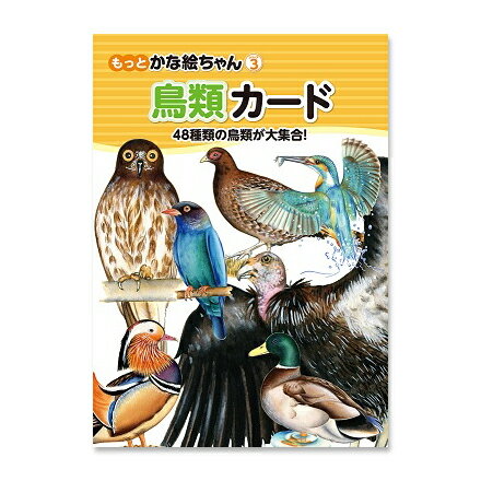 ☆七田式(しちだ)フラッシュカード教材☆　鳥類カード☆★...:shichida:10000005