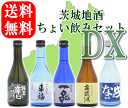  茨城県地酒 ちょい飲みセットDX 300ml×5本