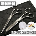 【メール便送料無料】日本の鋏専門メーカー高級鍛造仕上ニュアンスカットが出来るガタガタにならないセニング/DEEDS XP-01 シザー セニング セット/美容師 理容 理容師 散髪 はさみ シザー セニング