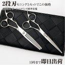 日本のハサミ専門メーカー / 美容師専用 【PF】DEEDS...