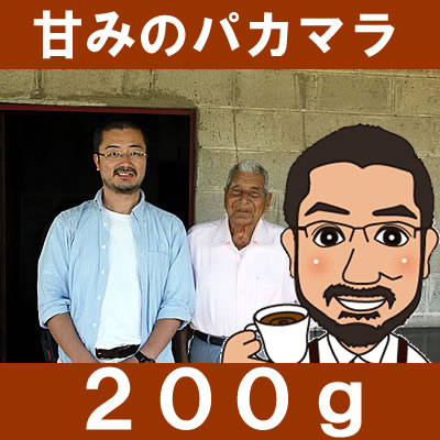 グァテマラ・プランデルグアヤボ農園パカマラ種200g【specialtycoffee】【ガテマラSH...:shigecafe:10000207