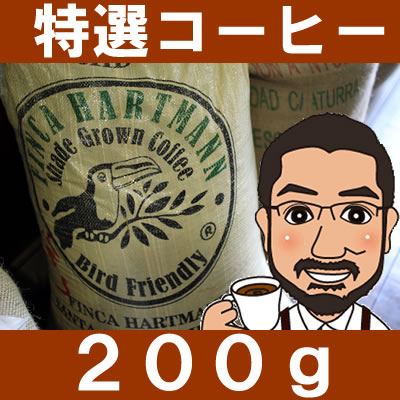 数量限定！ただいまの特選コーヒー200g　パナマ・ハートマン農園カツーラ種フリーウオッシュ…...:shigecafe:10000145