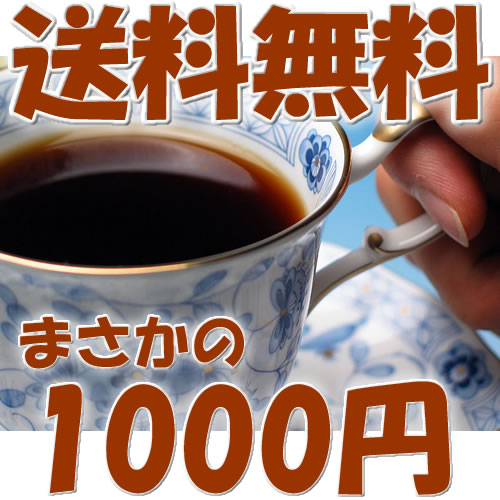 【送料無料】61％OFF　初めてのお客様限定！お試しコーヒー　グァテマラ・ダーク500g（250g×2）【直火焙煎コーヒー豆　しげとし珈琲】【同梱可】【SBZcou1208】