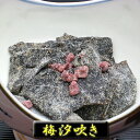 「梅汐吹き 100g」【つくだに ごはんの友 佃煮 ハマグリ ごはんのおとも しぐれ しぐれ煮 しぐれ蛤 お歳暮 贈物 贈答品 お中元 プレゼント ギフト 内祝 仏事 法事 お供え 老舗 晩酌 おつまみ 珍味 酒の肴】