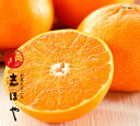 せとか約3kg(約10?13玉位)【RCP】