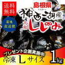 レビュー200件突破！！島根県・神西湖の砂抜き冷凍しじみ（シジミ）Lサイズ1kgレビューを書いて豪華プレゼントをゲット！島根県産しじみのもう一つのブランド、神西湖しじみを特許技術で砂抜きし、ぷりぷりのシジミに仕上げました。