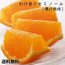 ショッピングkg [わけあり]セミノールオレンジ3kg【TYPE-A】