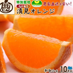 [特別栽培｜わけあり] <strong>清見オレンジ</strong> <strong>10kg</strong> 【 送料無料 減農薬栽培 有機肥料100% 清見 オレンジ 清見タンゴール きよみ 和歌山 柑橘 産地直送 贈答 ギフト 大容量 】