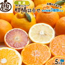 [特選]柑橘詰合せ5kg　　　　　　　　　　　 【KS】【送料無料】