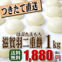 【つきたて発送】餅 もち 丸餅 小餅約1kg(17〜20個)★送料無料(北海道・沖縄県へは別