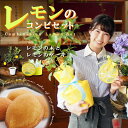 【新登場】実の赤ちゃん付きレモンの木&レモンケーキ4個セット【3年生苗/接ぎ木苗】果樹苗 庭木 鉢苗 植木 苗木 苗 シンボルツリー 常緑 常緑樹 実のなる木 観葉植物 国産 ギフト ガーデニング【父の日ギフト】