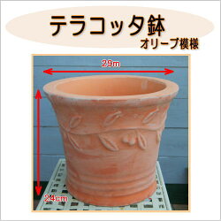 鉢説明