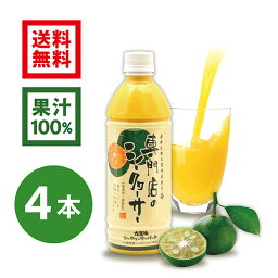 【2022年8月度月間優良ショップ受賞】専門店のシークヮーサー 500ml×4本 ［1本あたり880円］(沖縄県産シークワーサー 無添加 果汁100%ジュース)シークワーサー ジュース　シークワーサー　シークアーサー　果実　100%　<strong>青切りシークワーサー</strong>