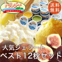 しまなみドルチェ人気ジェラート12種 秋セット!送料無料!(12個入り)