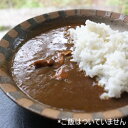 バリィさん やきとりカレー 画像2