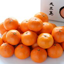 越智敬三さんのせとか家庭用5kg(20個から30個)