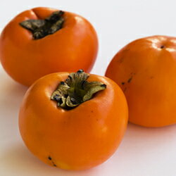 横野柿(渋抜き) 家庭用約3.8キロ(12〜14個入り) ランキングお取り寄せ