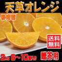 贈答用 佐藤さんちの天草みかん 希少 2kg 6個〜10個入 お歳暮 や 贈り物 にいかがですか?天草オレンジ 天草タンゴール 贈答用 佐藤さんちの天草みかん 希少 2kg 6個〜10個入 お歳暮 や 贈り物 にいかがですか?天草オレンジ 天草タンゴール