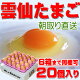 雲仙 たまご 20個入り(M:Lから選べます) 6箱まで同梱できます 卵 卵かけご飯 高級卵 九州 新鮮 生卵 TKG もみじたまご 鶏卵 アレルギー 〜1.9kg 2016 父の日