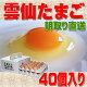 雲仙 たまご 40個入り 卵かけごはんでどうぞ 卵 卵かけご飯 高級卵 九州 新鮮 生卵 TKG もみじたまご 鶏卵 アレルギー 2.0kg〜4.9kg 2016 父の日