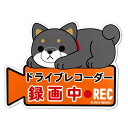 ドライブレコーダー録画中 ワンコ物語 豆しば黒 REC マ...