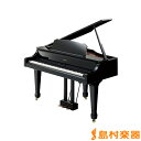 Roland RG-3F-PES 電子ピアノ 88鍵盤 【ローランド RG3FPES】【配送設置無料・代引き払い不可】【別売り延長保証対応プラン:A】