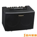 Roland AC-40 35W ギターアンプ アコースティックギター用 【エフェクター内蔵】 【ローランド AC40】