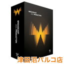 WAVES プラグインソフト Broadcast & Production バンドル 【ウェーブス】【津田沼パルコ店】